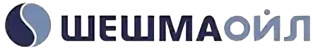 logo 13